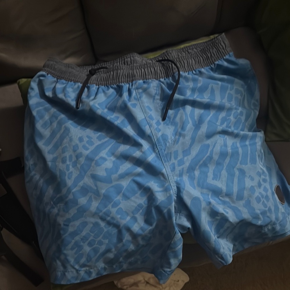 Blue Patterned Men's chubbies shorts